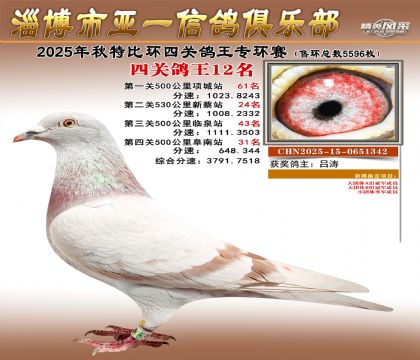 ��һ�׸�ר��12��