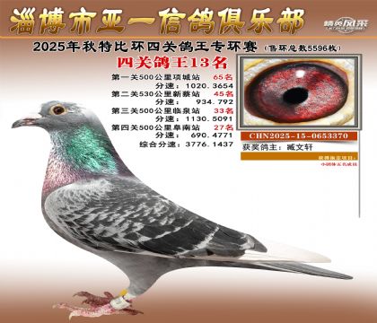 ��һ�׸�ר��13��