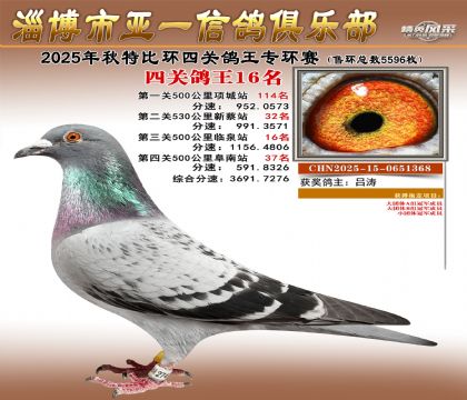 ��һ�׸�ר��16��