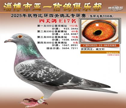 ��һ�׸�ר��17��