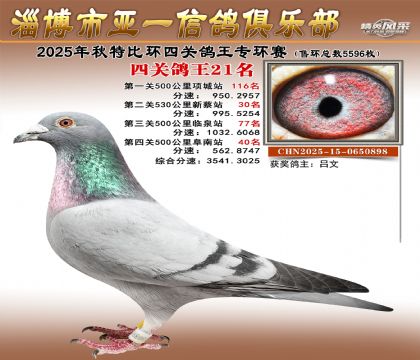 ��һ�׸�ר��21��