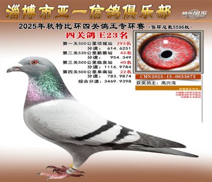 ��һ�׸�ר��23��