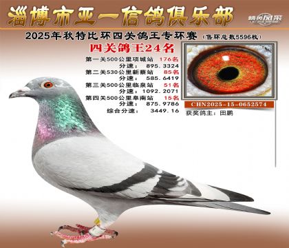 ��һ�׸�ר��24��