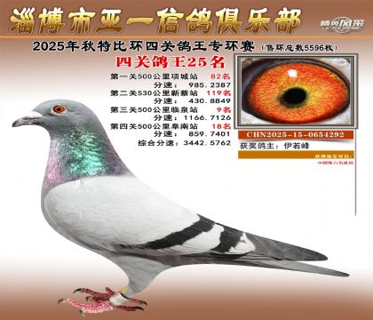 ��һ�׸�ר��25��