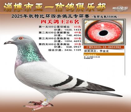 ��һ�׸�ר��26��