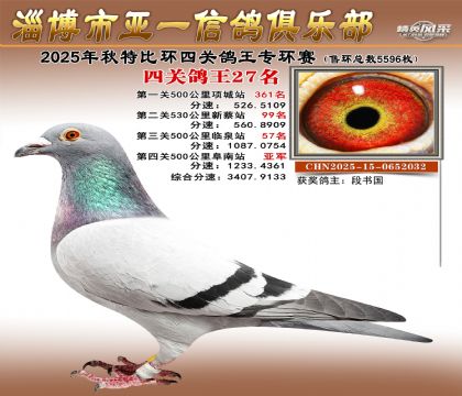 ��һ�׸�ר��27��