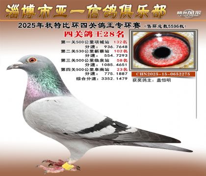 ��һ�׸�ר��28��