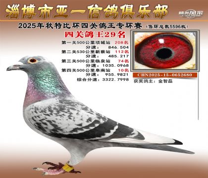 ��һ�׸�ר��29��