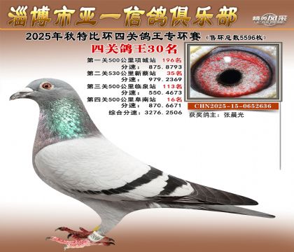 ��һ�׸�ר��30��