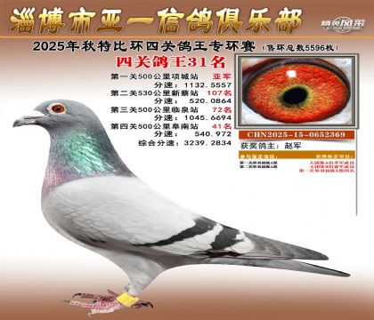 ��һ�׸�ר��31��