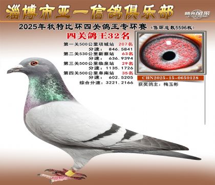 ��һ�׸�ר��32��