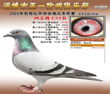 ��һ�׸�ר��33��