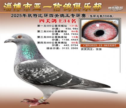 ��һ�׸�ר��34��