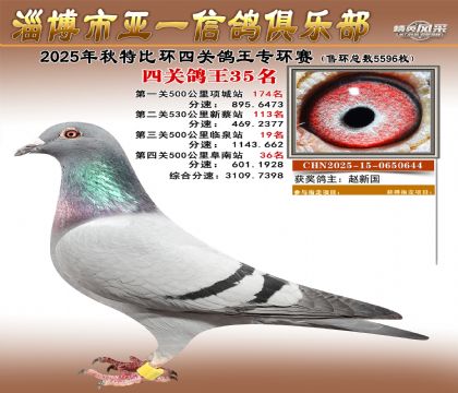 ��һ�׸�ר��35��