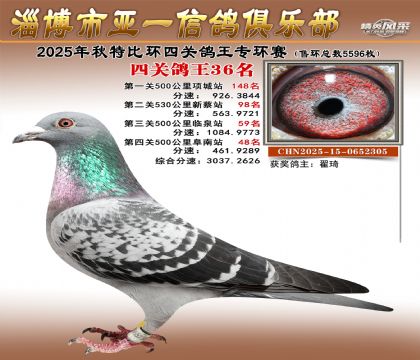 ��һ�׸�ר��36��