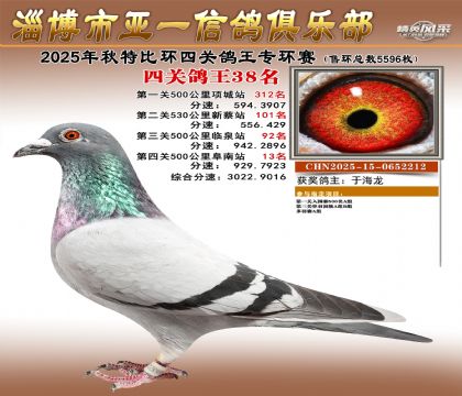 ��һ�׸�ר��38��