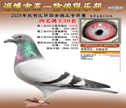 ��һ�׸�ר��39��