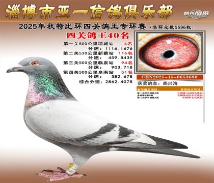 ��һ�׸�ר��40��