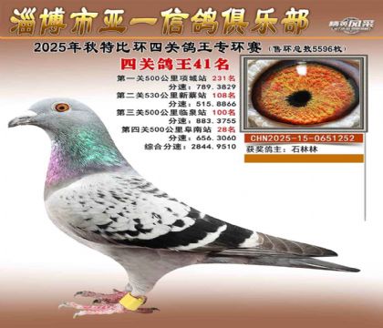 ��һ�׸�ר��41��