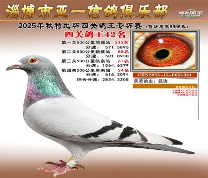 ��һ�׸�ר��42��