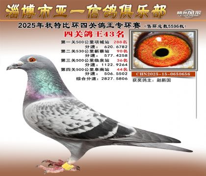 ��һ�׸�ר��43��