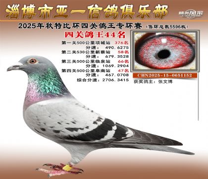 ��һ�׸�ר��44��