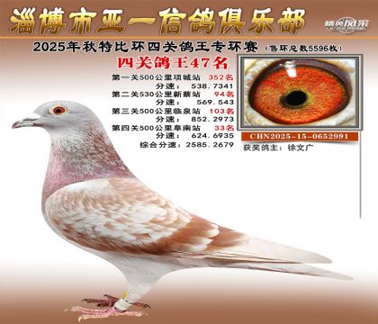 ��һ�׸�ר��47��