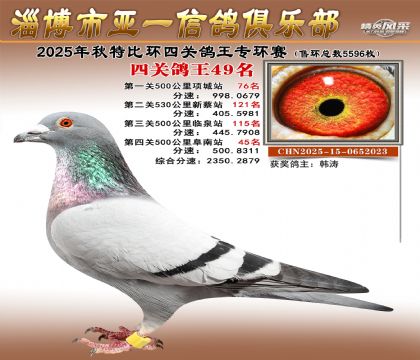 ��һ�׸�ר��49��