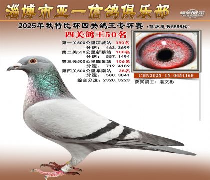 ��һ�׸�ר��50��