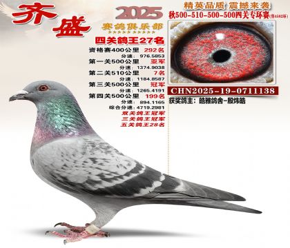 齐盛幼鸽专环27名