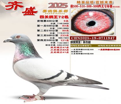 齐盛幼鸽专环72名