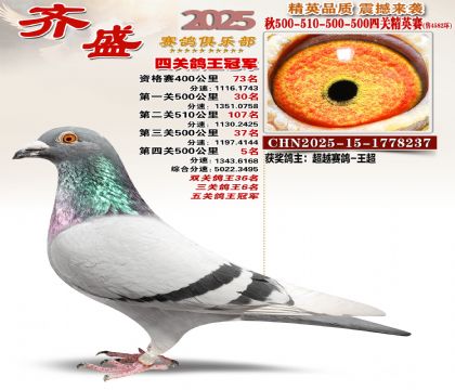 ��ʢ��Ӣ���ھ�