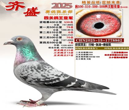 ��ʢ��Ӣ���Ǿ�