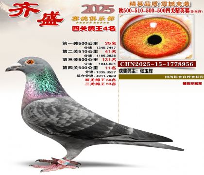 ��ʢ��Ӣ��4��