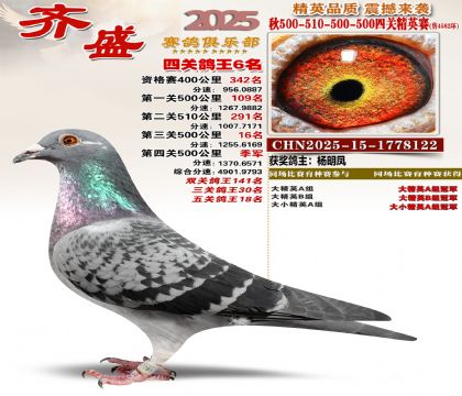 ��ʢ��Ӣ��6��