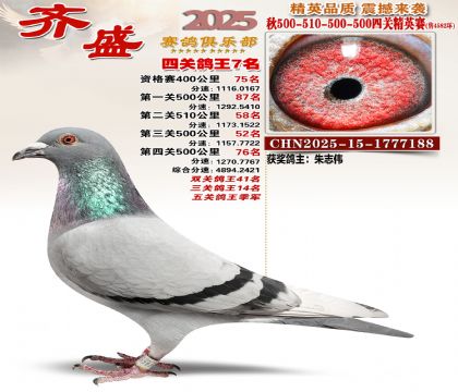 ��ʢ��Ӣ��7��