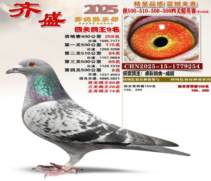 ��ʢ��Ӣ��9��