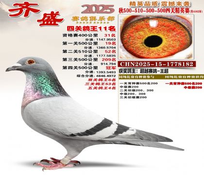 ��ʢ��Ӣ��11��