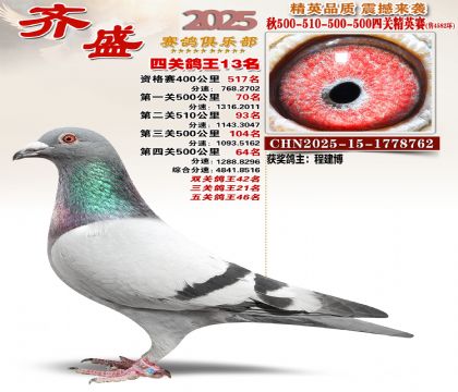 ��ʢ��Ӣ��13��