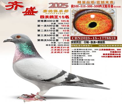 ��ʢ��Ӣ��15��