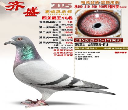 ��ʢ��Ӣ��16��