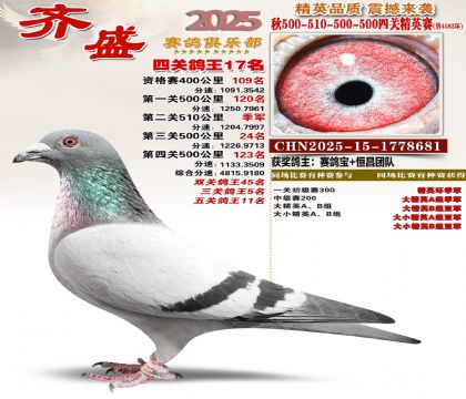 ��ʢ��Ӣ��17��