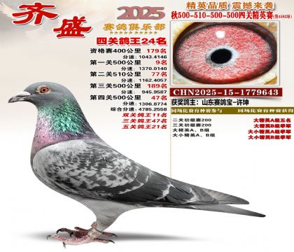 ��ʢ��Ӣ��24��