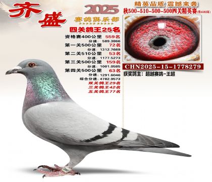 ��ʢ��Ӣ��25��