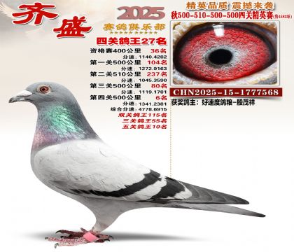 ��ʢ��Ӣ��27��