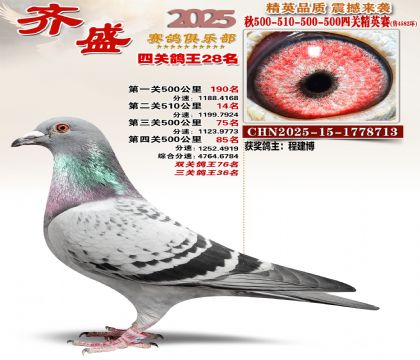 ��ʢ��Ӣ��28��