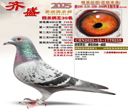 ��ʢ��Ӣ��30��