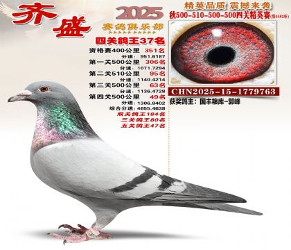 ��ʢ��Ӣ��37��