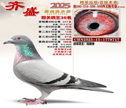 ��ʢ��Ӣ��38��