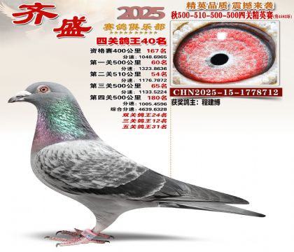 ��ʢ��Ӣ��40��